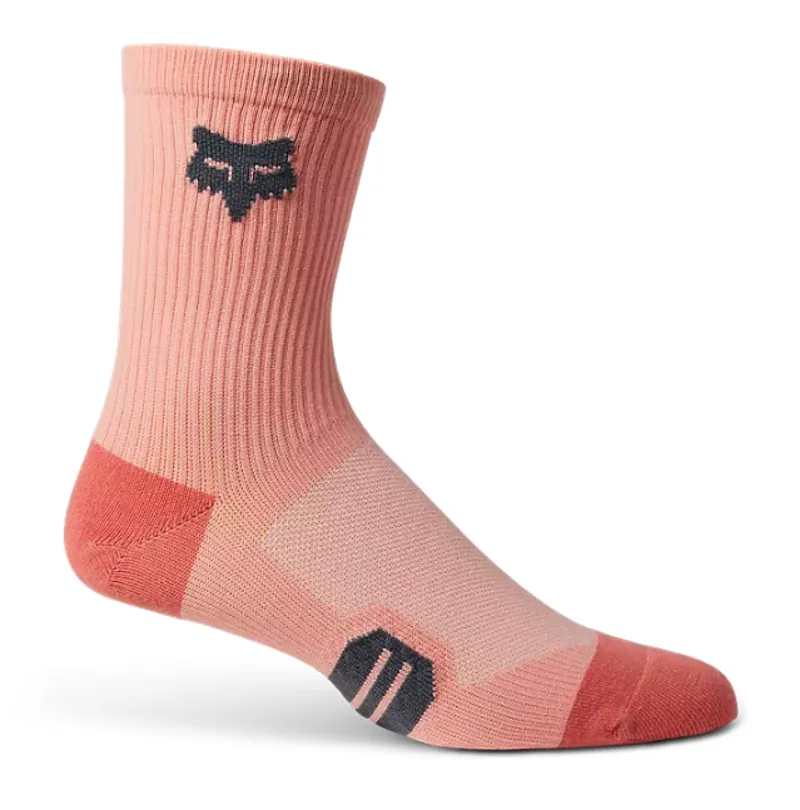 Fox Racing Women's Ranger 6in Socks in Salmon Pink